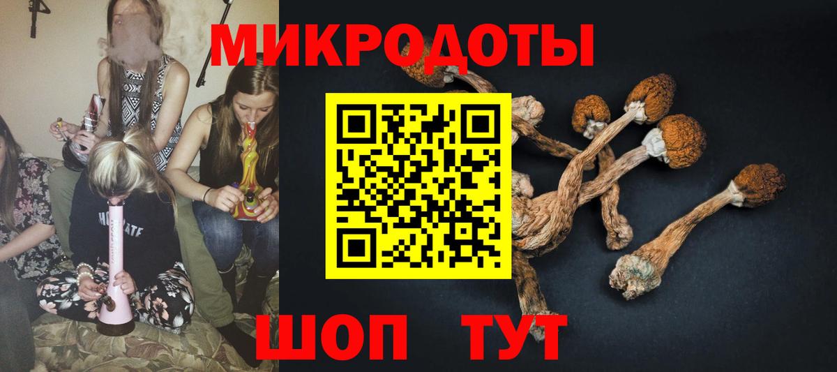 Псилоцибиновые грибы прущие грибы  Вход с VPN  Миллерово  Галлюциногенные грибы Psilocybe 