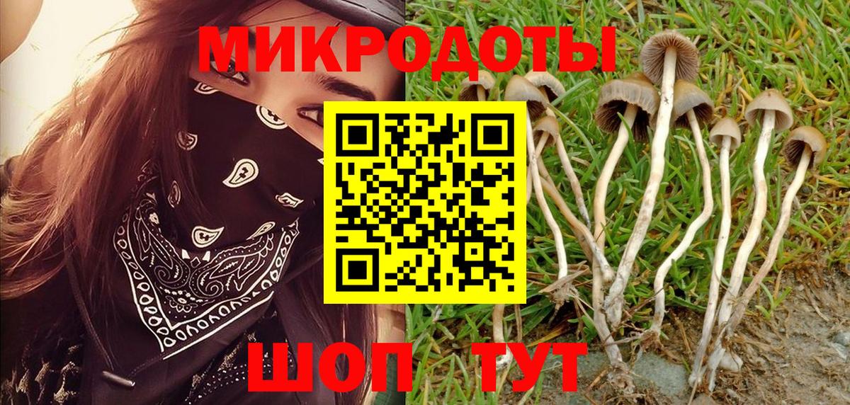 Псилоцибиновые грибы прущие грибы Миллерово